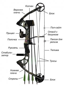 Compound-Bow.jpg